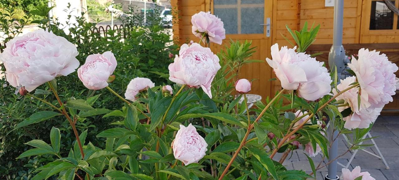 Landhaus Julia โคเบิร์น-กอนดอร์ฟ ภายนอก รูปภาพ